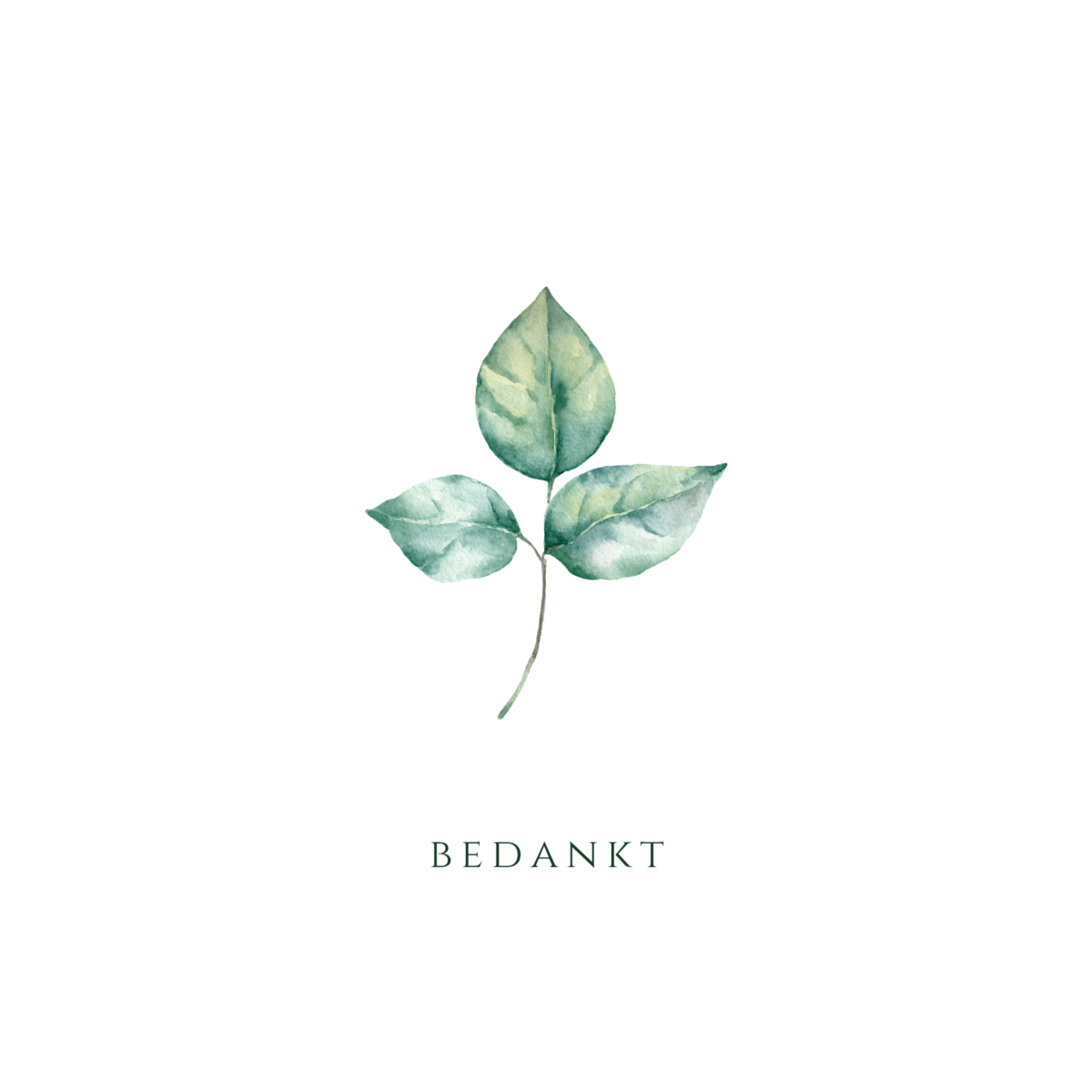 Wenskaart a6 formaat met illustratie van boomblad en het woord bedankt in rustig neutraal design