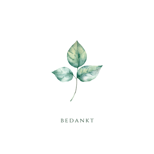 Wenskaart a6 formaat met illustratie van boomblad en het woord bedankt in rustig neutraal design